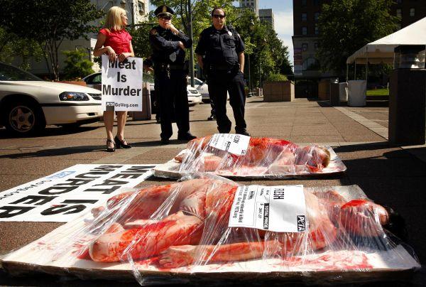 50 AMAZING Guerrilla Marketing Ideas! 33 Peta - Shocking as usual