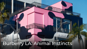 Burberry LA: Animal Instincts - Drone Video thumbnail image used