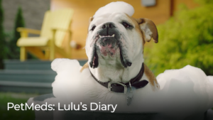 PetMeds: Lulu's Diary