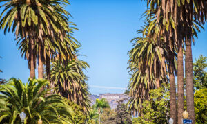 Hollywood sign stock photo