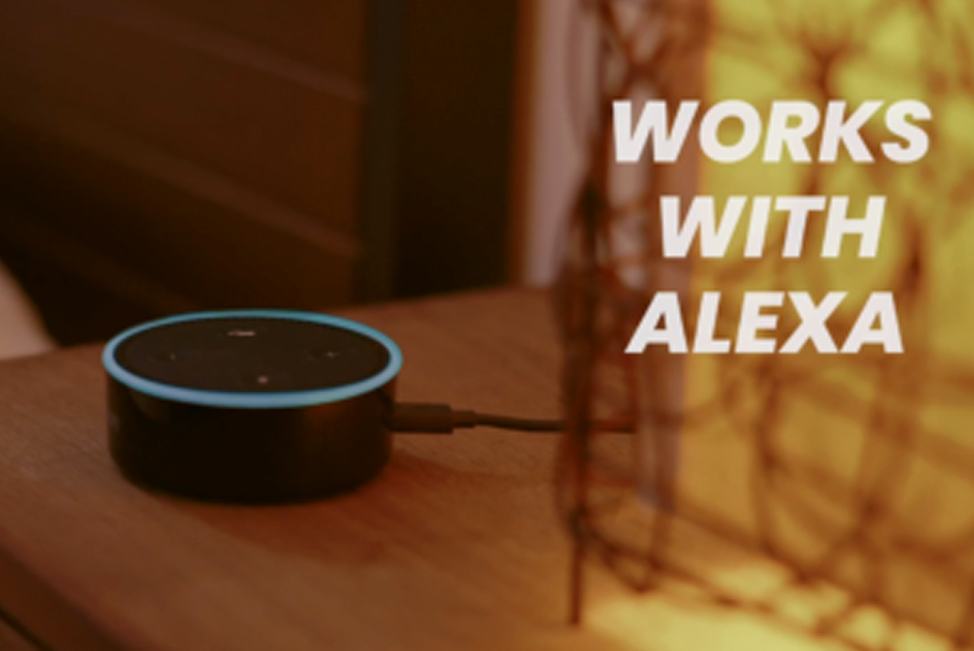 Works with Alexa echo device Amazon Brand video