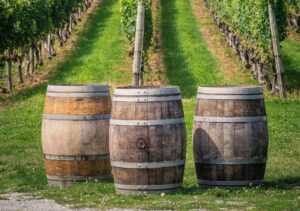 Video Location at North Fork, Long Island Vineyard