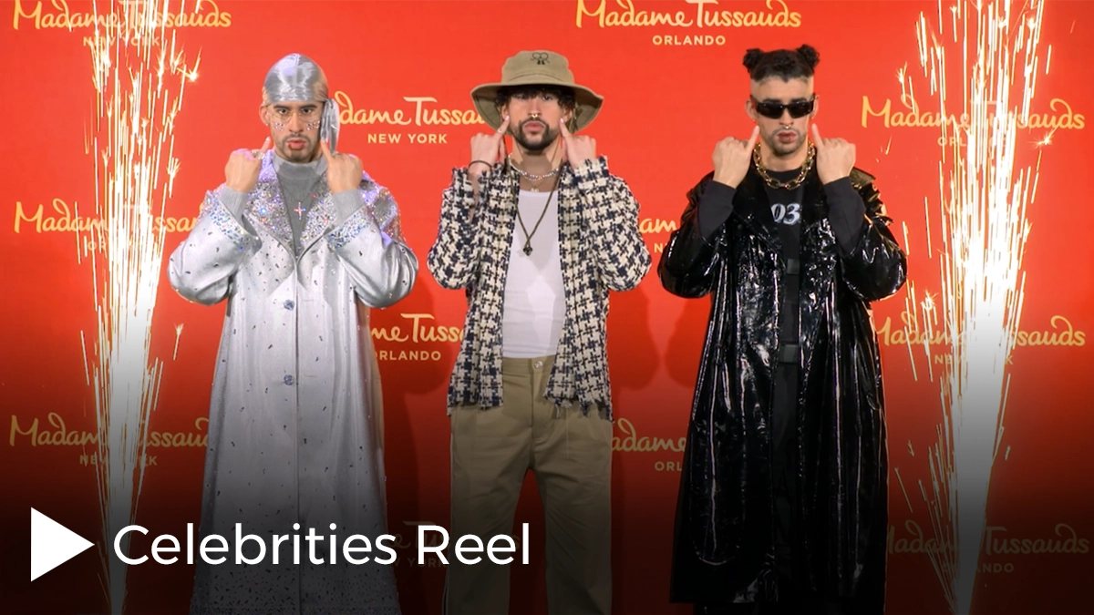 Celebrities Reel